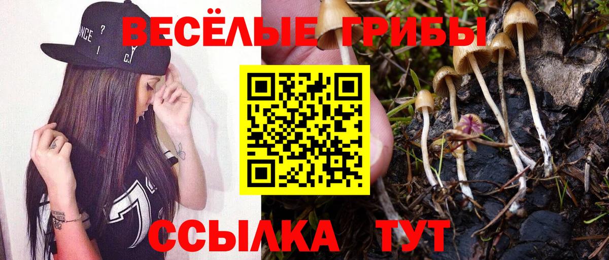 Кисловодск  Галлюциногенные грибы мухоморы  Галлюциногенные грибы Psilocybe  Вход с VPN 